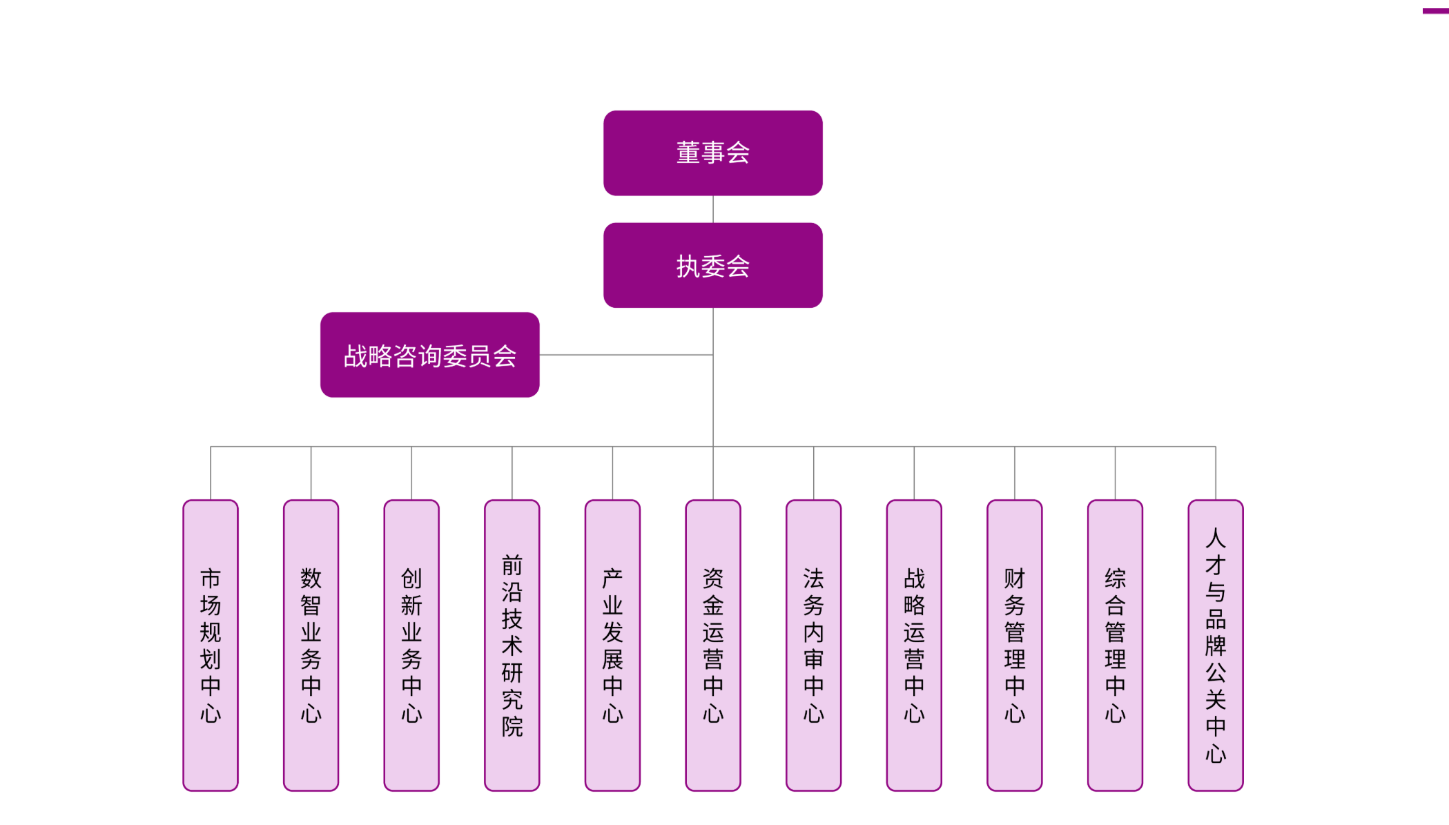 PG娱乐集团组织架构:董事会、执委会、战略咨询委员会及集团总部各职能部门